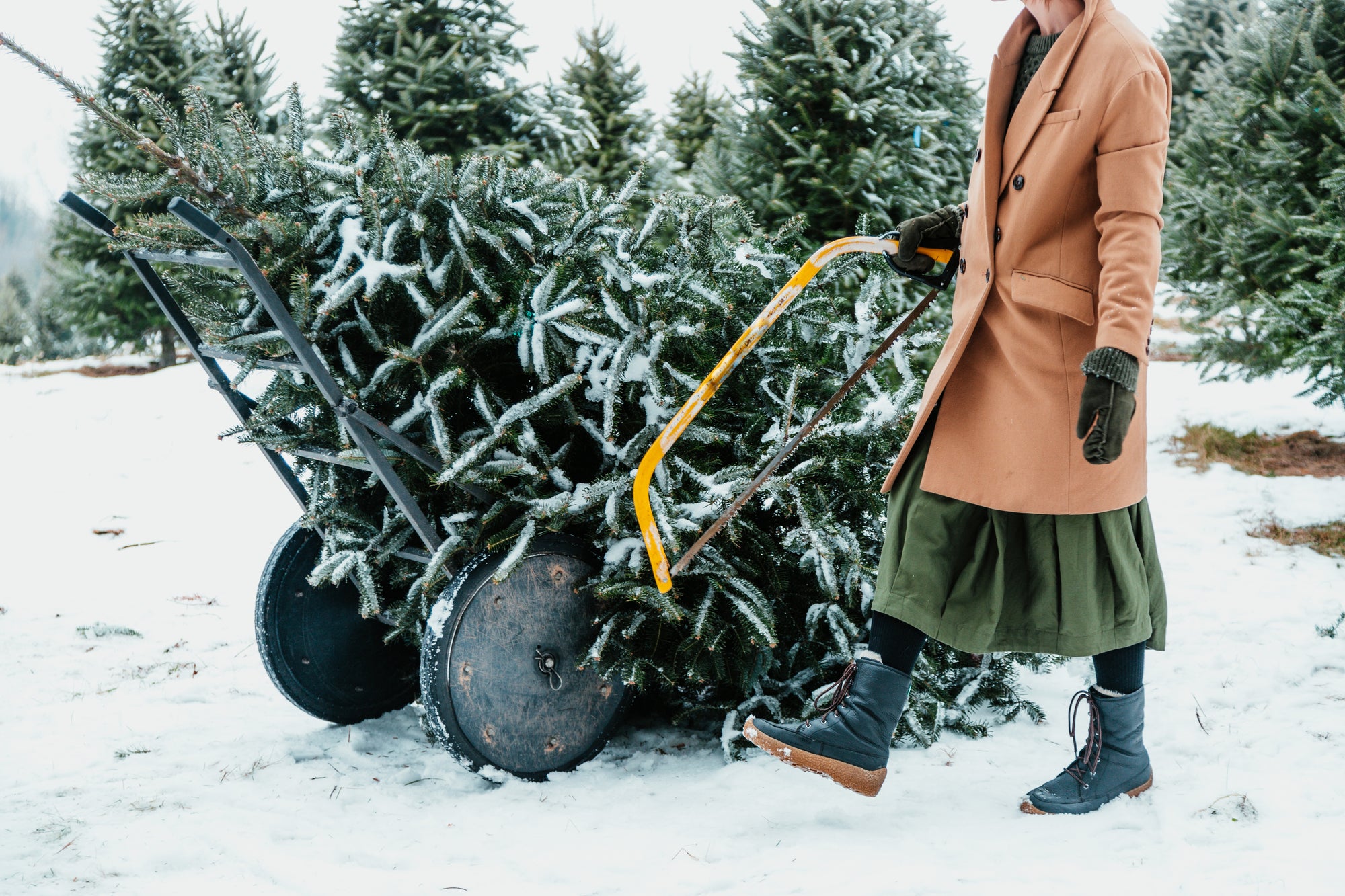 woman shopping at an outdoor christmas tree farm